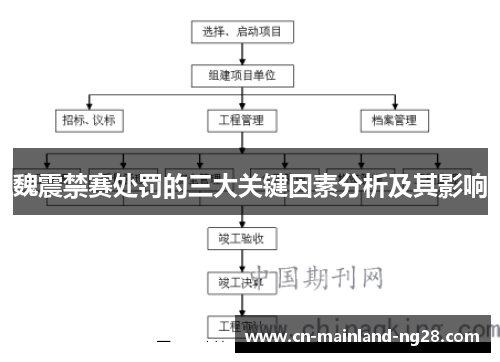 魏震禁赛处罚的三大关键因素分析及其影响