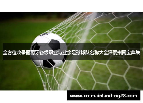 全方位收录葡萄牙各级职业与业余足球球队名称大全深度指南宝典集 全方位收录葡萄牙各级职业与业余足球球队名称大全深度指南宝典集