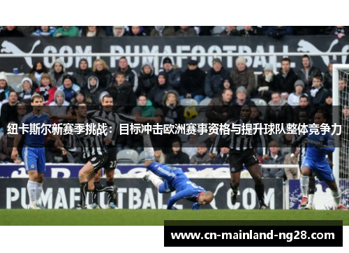 纽卡斯尔新赛季挑战：目标冲击欧洲赛事资格与提升球队整体竞争力